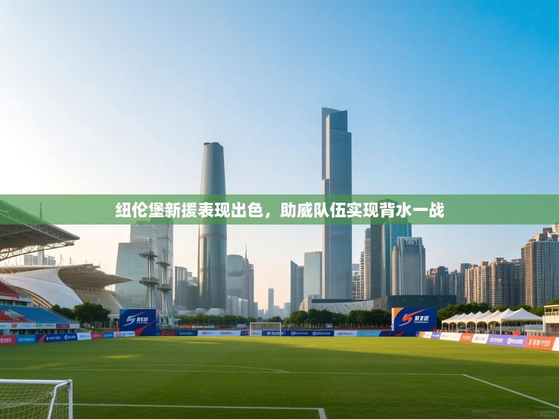 纽伦堡新援表现出色，助威队伍实现背水一战  第1张